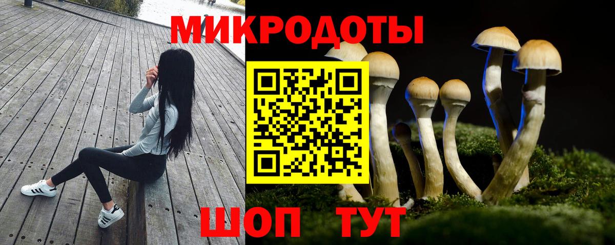 Галлюциногенные грибы Psilocybine cubensis  Вход с VPN  Кимры 