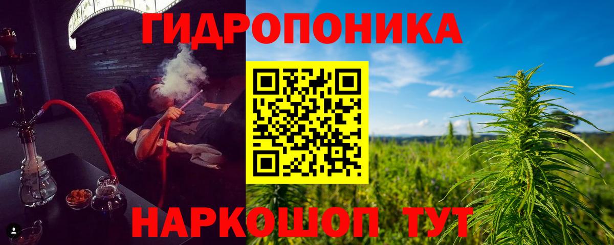 Конопля OG Kush  Вход с VPN  Кимры  Канабис Bruce Banner  МАРИХУАНА марихуана 